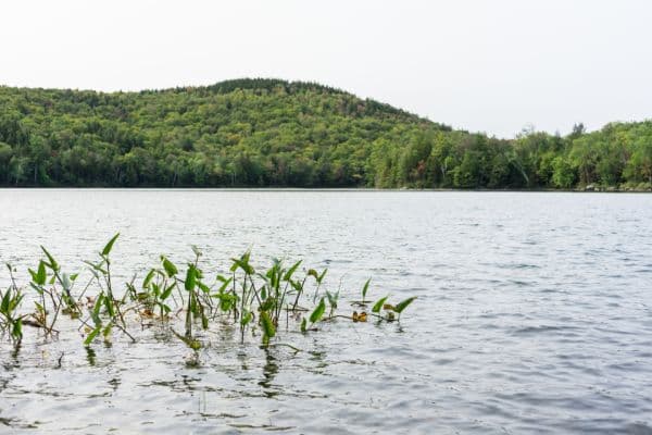 Green Lake Park