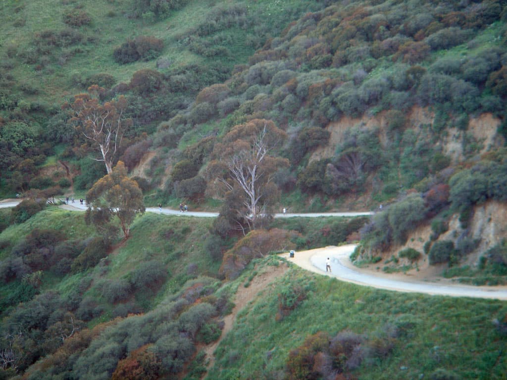 Runyon Canyon Park