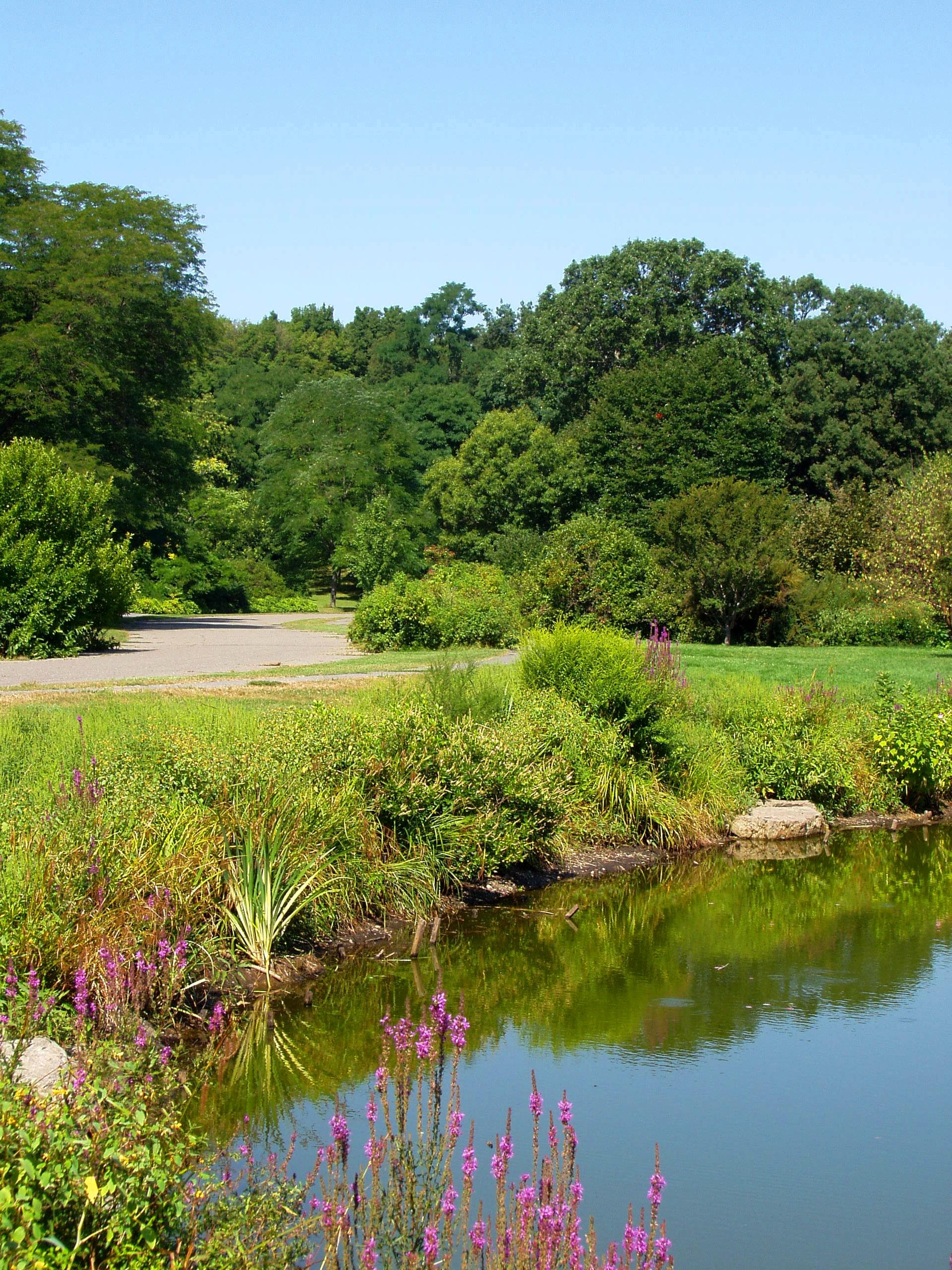 Arnold Arboretum of Harvard University